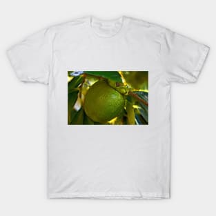 Bright Green Persimmon on the Tree T-Shirt